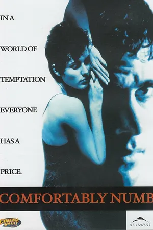 Постер к фильму Комфортабельный номер (1995)