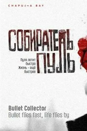 Постер к фильму Собиратель пуль (2011)