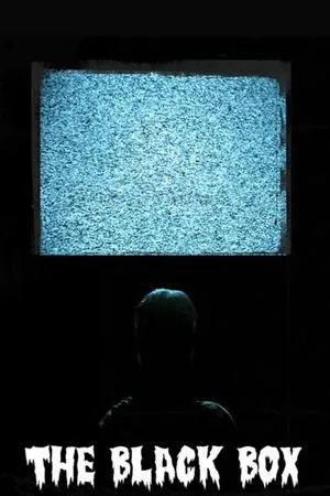 Постер к фильму The Black Box (2010)