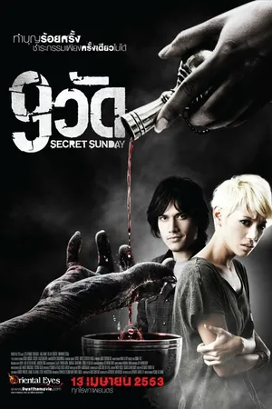 Постер к фильму 9 храмов (2010)