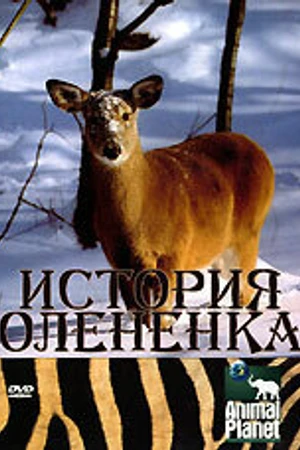 Постер к фильму История олененка (2003)