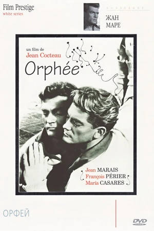 Постер к фильму Орфей (1950)