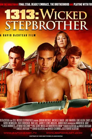 Постер к фильму Злой сводный брат (2011)