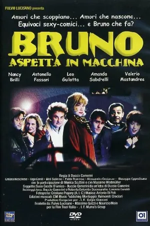Постер к фильму Bruno aspetta in macchina (1996)