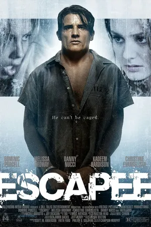 Постер к фильму Беглец (2011)