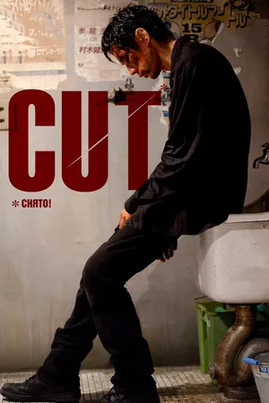 Постер к фильму Снято! (2011)