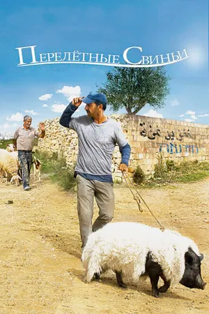 Постер к фильму Перелетные свиньи (2011)