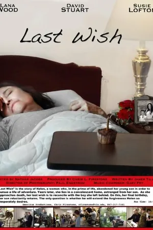 Постер к фильму Last Wish (2010)