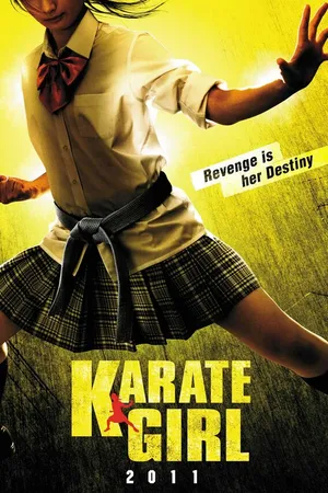Постер к фильму Каратистка (2011)