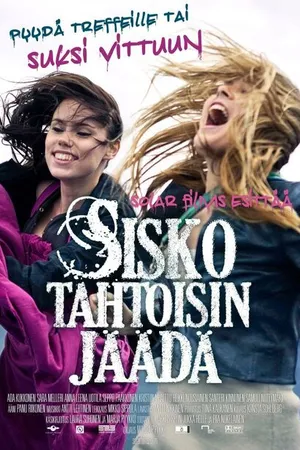 Постер к фильму Беги, сестра, беги (2010)