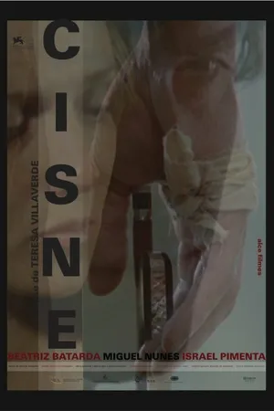 Постер к фильму Лебедь (2011)