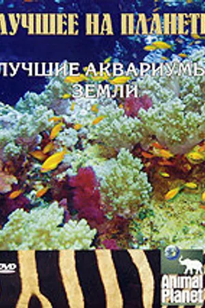 Постер к фильму Animal Planet: Лучшее на планете. Лучшие аквариумы земли (2006)