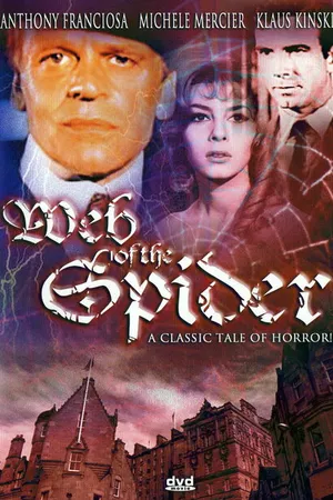 Постер к фильму В объятиях паука (1971)