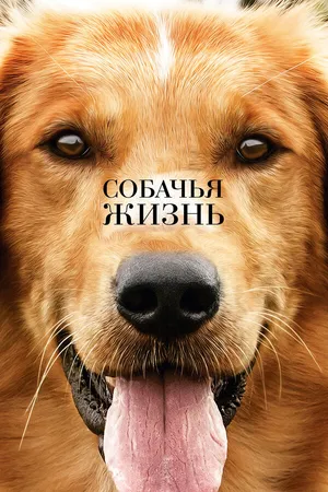 Постер к фильму Собачья жизнь (2017)
