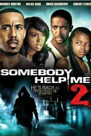 Постер к фильму Somebody Help Me 2 (2010)