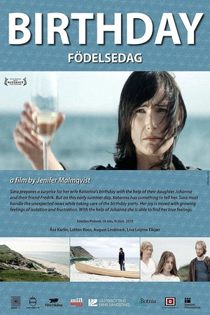 Постер к фильму День рождения (2009)