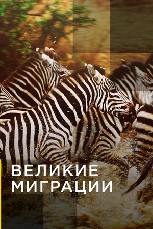 Постер к сериалу Великие миграции (2010)