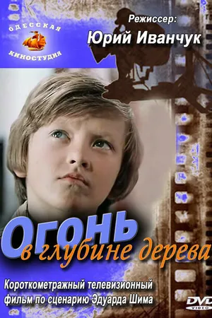 Постер к фильму Огонь в глубине дерева (1978)