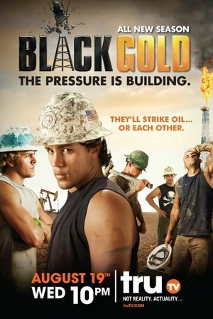 Постер к сериалу Черное золото (2008)