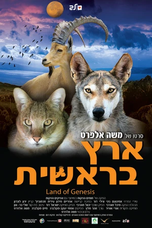 Постер к фильму Генезис Земли (2010)