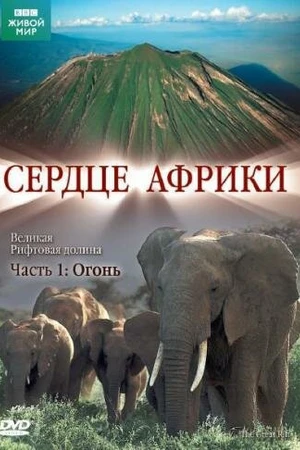 Постер к сериалу BBC: Сердце Африки (2010)