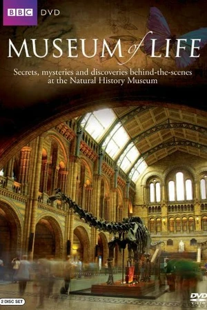 Постер к сериалу Museum of Life (2010)