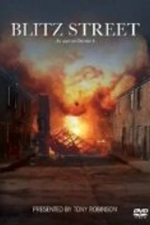 Постер к сериалу Blitz Street (2010)