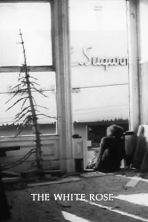 Постер к фильму Белая роза (1967)