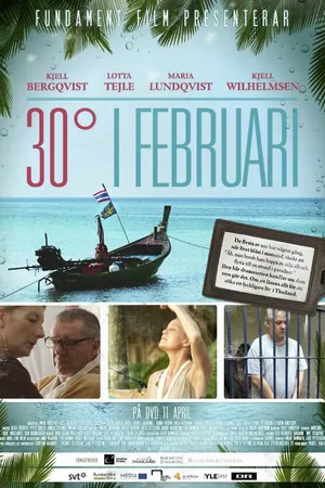 Постер к сериалу 30 градусов в феврале (2012 - 2016)