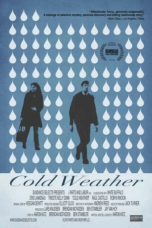 Постер к фильму Холодная погода (2010)