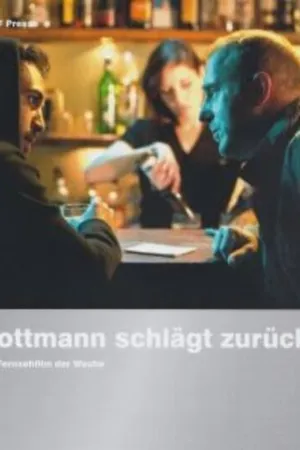 Постер к фильму Rottmann schlägt zurück (2011)