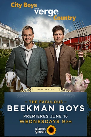 Постер к сериалу The Fabulous Beekman Boys (2010)
