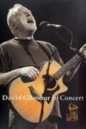 Постер к фильму David Gilmour in Concert (2002)