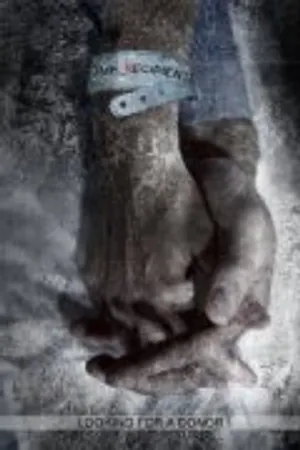 Постер к фильму The Recipient (2010)