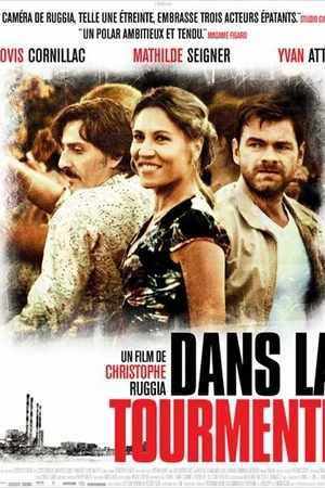 Постер к фильму В смятении (2011)