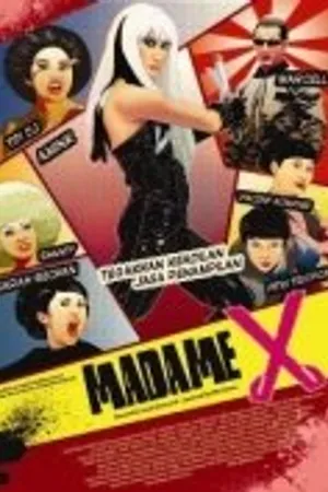 Постер к фильму Мадам Икс (2010)