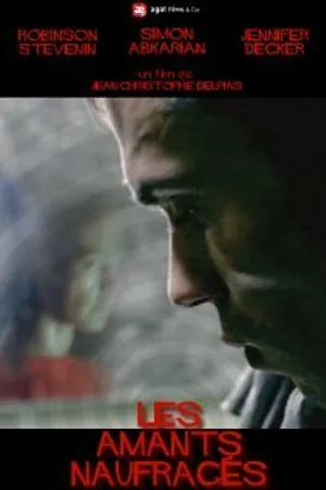Постер к фильму Разбившаяся любовь (2010)