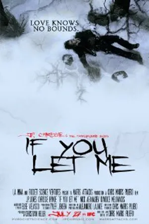 Постер к фильму If You Let Me (2010)