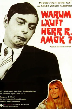 Постер к фильму Почему рехнулся господин Р? (1970)