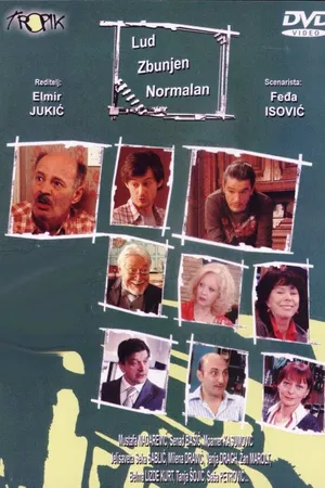Постер к сериалу Безумный, запутанный, нормальный (2007 - 2021)