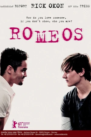 Постер к фильму Ромео (2011)