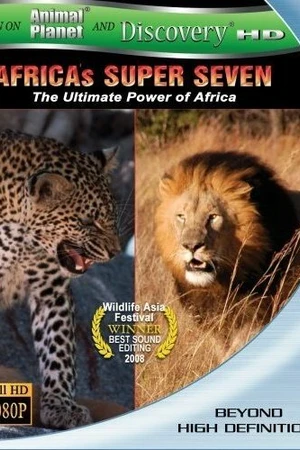 Постер к фильму Великолепная семерка Африки (2005)