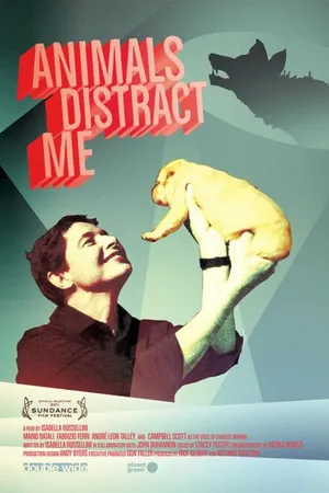 Постер к фильму Животные меня отвлекают (2011)