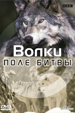 Постер к сериалу BBC: Поле битвы (2003)