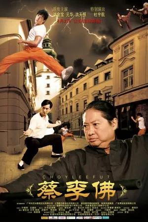 Постер к фильму Цайлифо (2011)