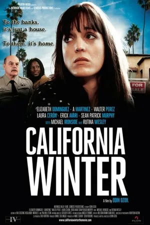 Постер к фильму California Winter (2012)