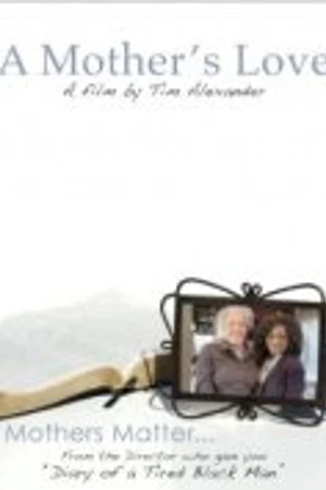 Постер к фильму Любовь матери (2011)