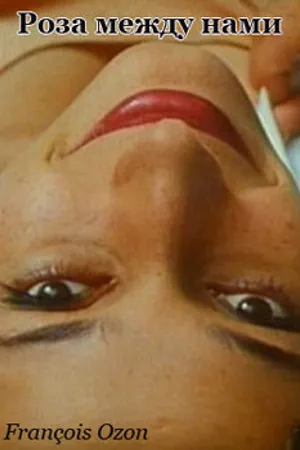 Постер к фильму Роза между нами (1994)