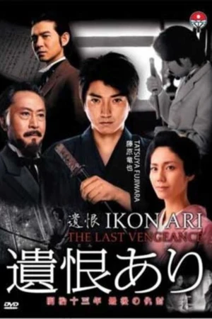 Постер к фильму Последняя месть (2011)