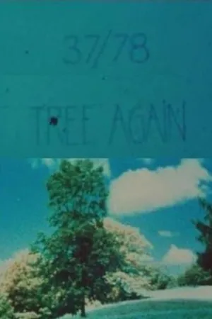 Постер к фильму 37/78: Tree Again (1978)